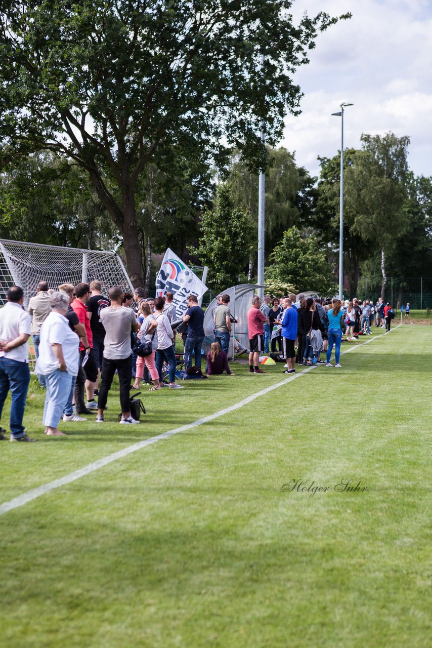 Bild 154 - wBJ Hamburger SV : SV Henstedt Ulzburg : Ergebnis: 4:2